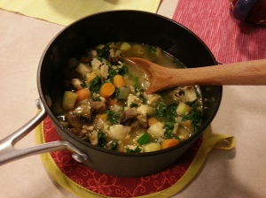 One of our first paleo meals: chicken & veggie stew
